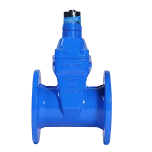 CGZ45X Magnetic Induction Resilient Seated Gate Valve
