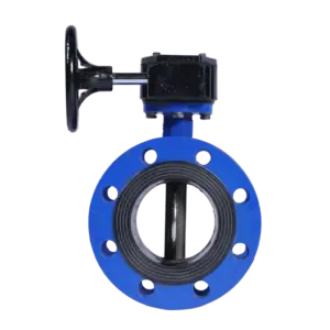 D341X Worm Gear Centerline Butterfly Valve