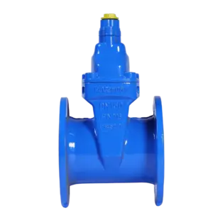 FZ45X Anti-Theft Resilient Seated Gate Valve7