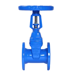 Z41X Rising Stem Resilient Seated Gate Valve