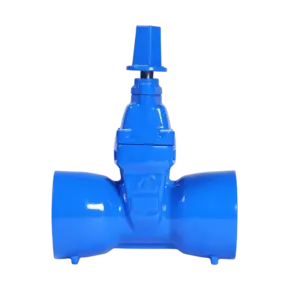 Socket-End Resilient Seated Gate Valve