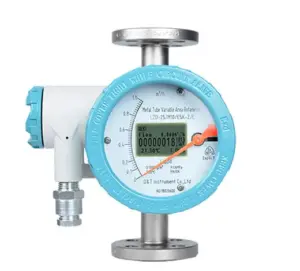 Vertical Display Variable Area Flowmeter